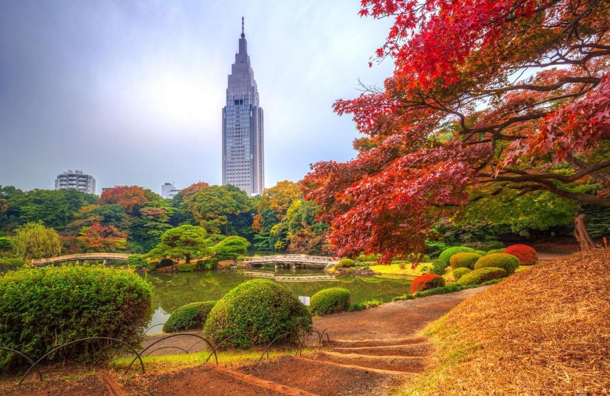 Shinjuku Gyoen Park Hanabi House * Präfektur Tokio